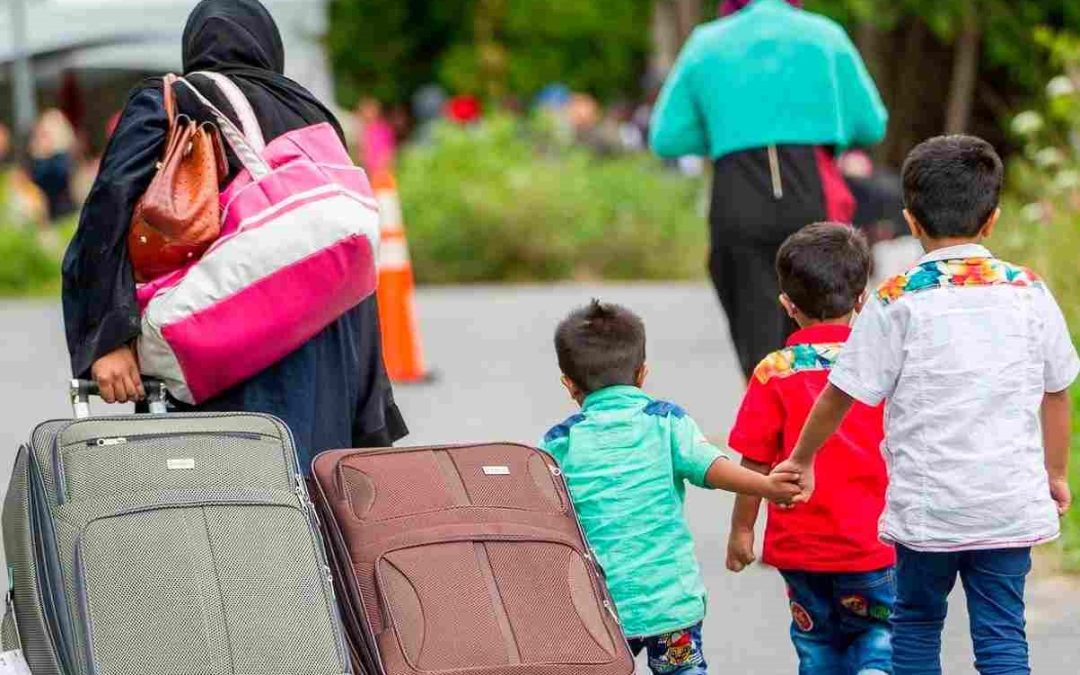 کیس پناهندگی چیست